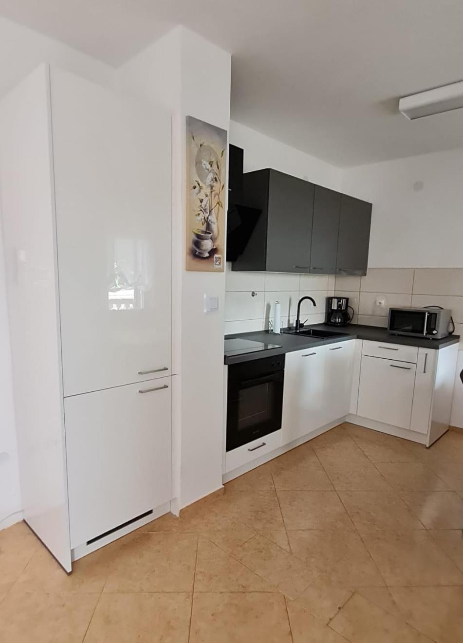 נובי ווינודולסקי Apartman Joki מראה חיצוני תמונה